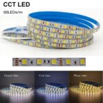 LED trak warm cold white IP30 12V 60LED_m 5m