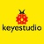 Keyestudio Brand